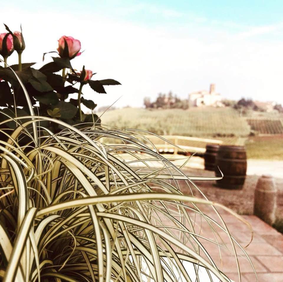 700Enolocanda Santa Giuletta Ngoại thất bức ảnh